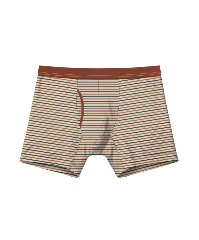 Fall Drop 4 Pack Bamboo Boxer Briefs 5" - Image 5